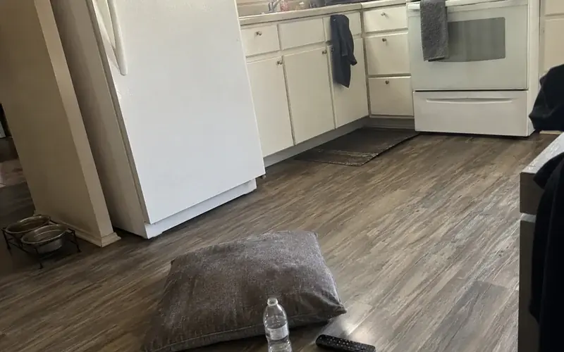 Apartment kitchen with white appliances and vinyl plank flooring in overcast light